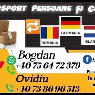 Bogdan transport