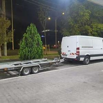 AUTO IACOB SOLUTION S.R.L.