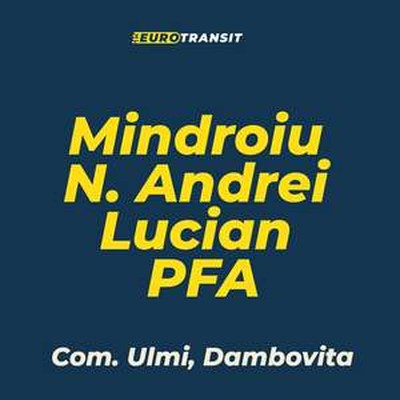 Mindroiu N Andrei Lucian PFA